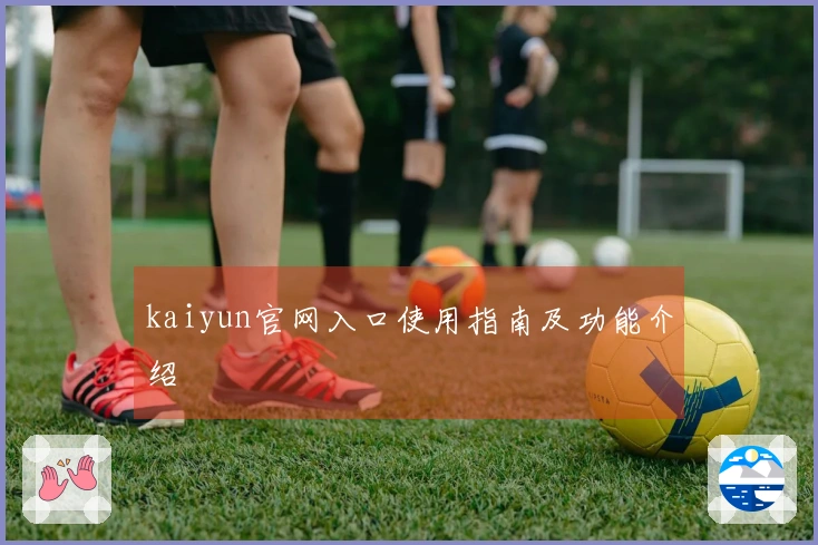 kaiyun官网入口使用指南及功能介绍