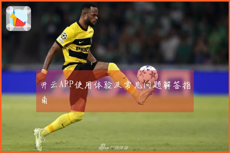 开云APP使用体验及常见问题解答指南