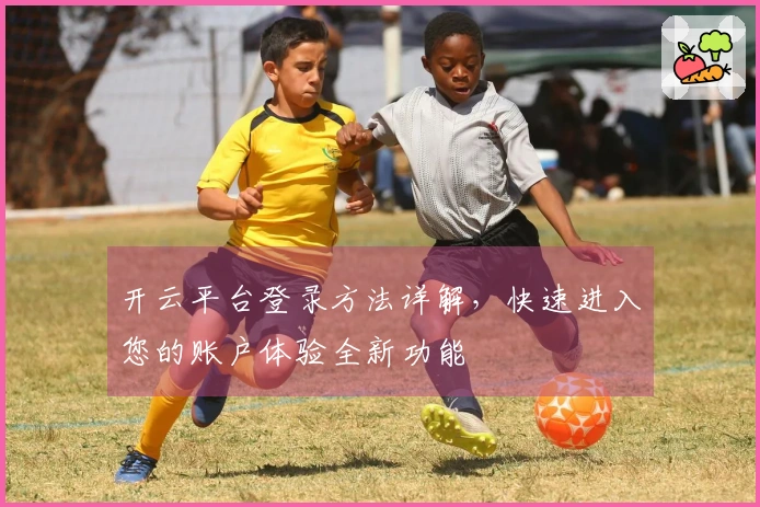 开云平台登录方法详解，快速进入您的账户体验全新功能